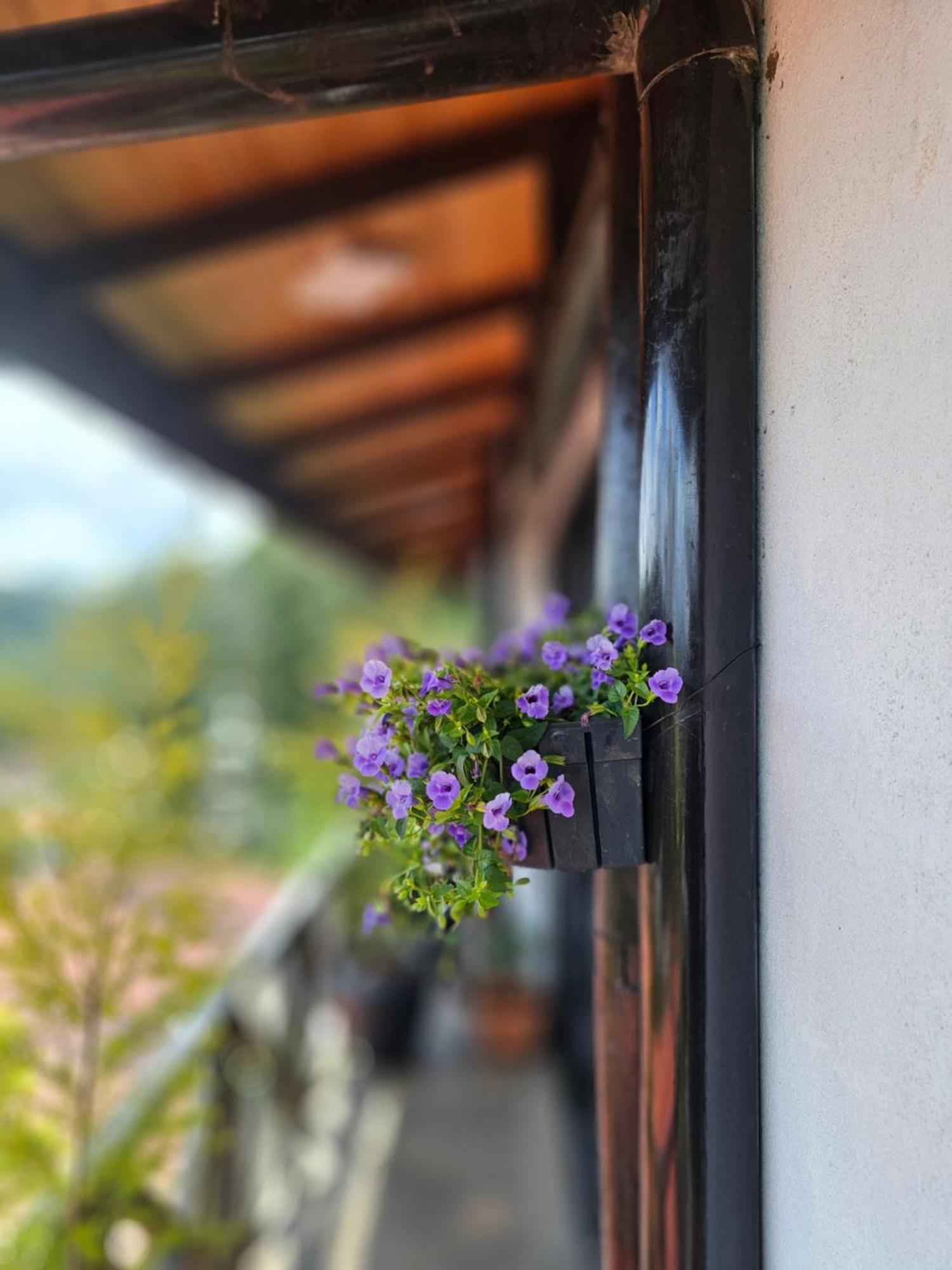 Chez Allen Nuwara Eliya Kültér fotó
